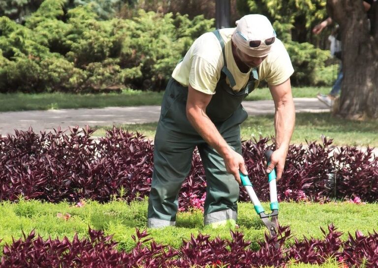 La Diputación de Valladolid destina 2,8 millones de euros al empleo rural y 320.000 euros a los Circuitos Escénicos en 2025