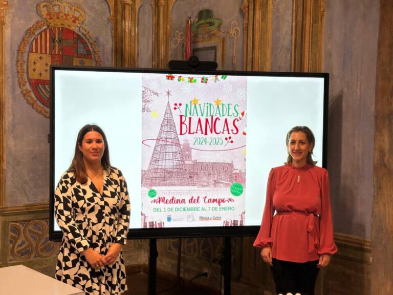 Navidades mágicas en Medina del Campo