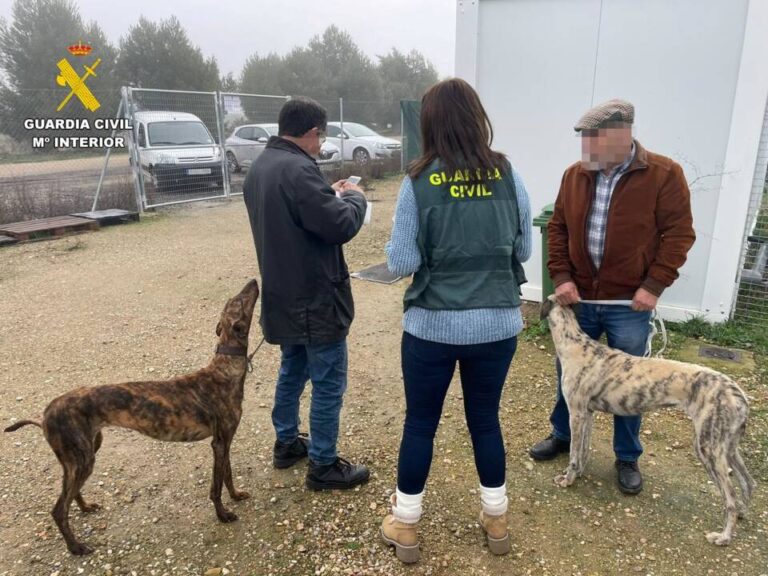 La Guardia Civil investiga a 13 personas por el robo de galgos en Zamora