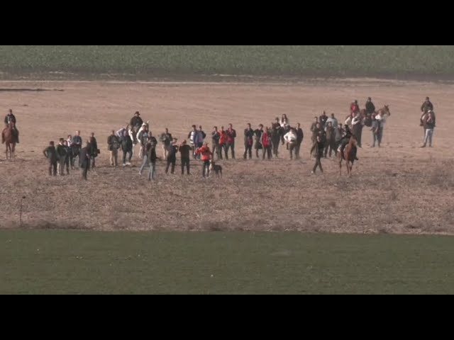 Galgos – Toda la información del Campeonato de España – Última Hora