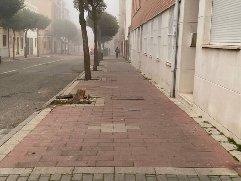 Un conductor se empotra contra un árbol en Medina del Campo y se enfrenta a un supuesto delito de Seguridad Vial 