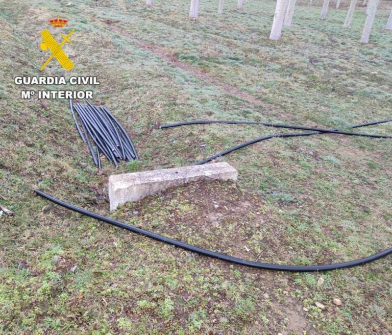 Caen cuatro ladrones de cable en Pedregal: desmantelan banda criminal que operaba en varios municipios de León