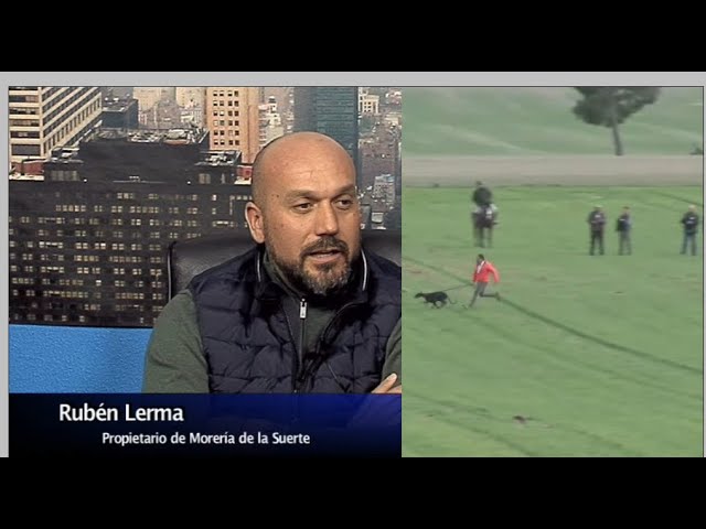 Galgos – Campeonato de España Gran Final – Última hora – Entrevista al propietario de Morería
