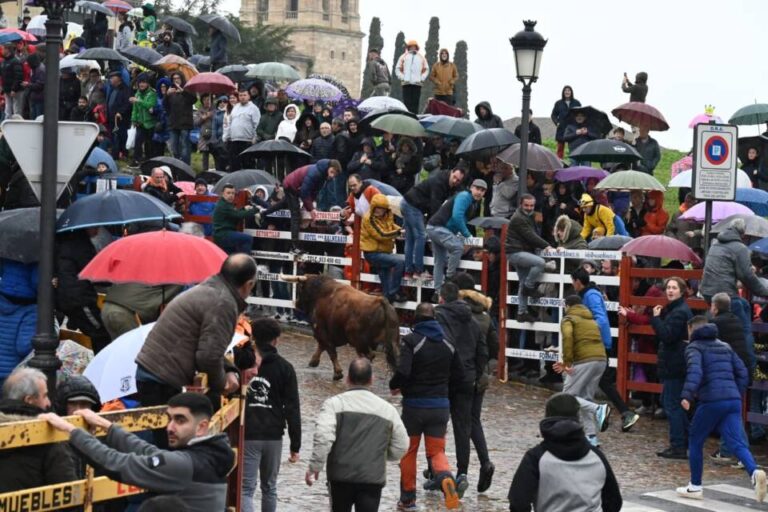 Ciudad Rodrigo desvela su elenco taurino