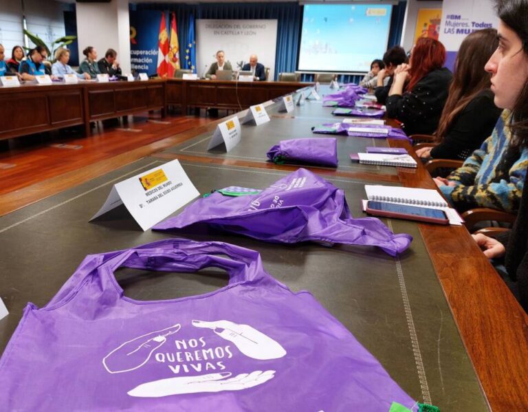 Encuentro del Tercer Sector contra la Violencia de Género: refuerzo al Pacto de Estado y al sistema VioGén 2
