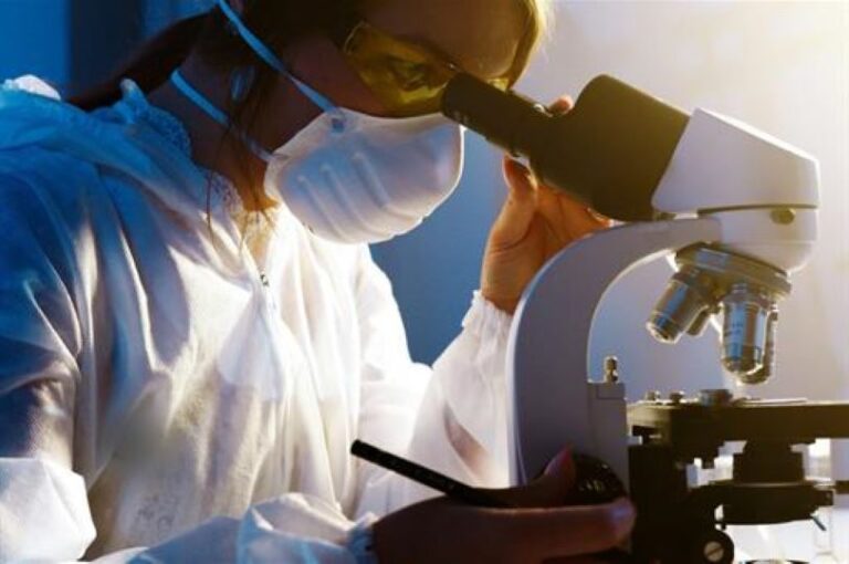 investigacion en Castilla y León