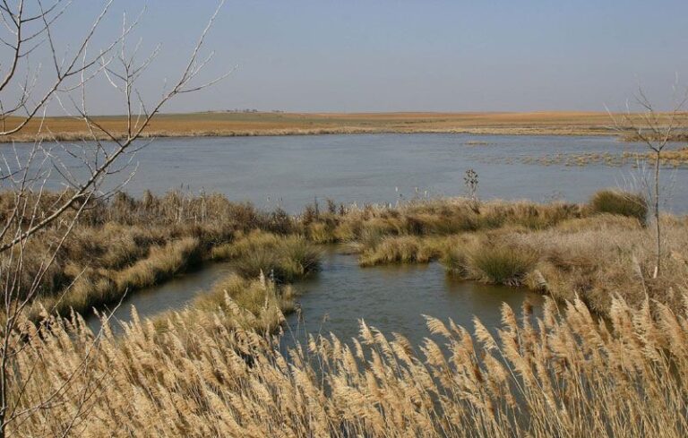 La Junta restaurará la Laguna de Tamariz para recuperar su ecosistema y biodiversidad