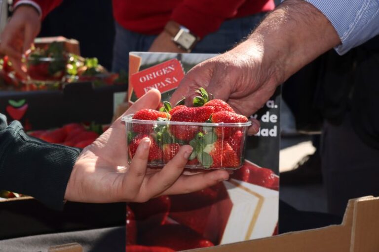 UPA lleva a Medina del Campo la campaña #YoComoFresasdeHuelva para promover el consumo de fresas españolas