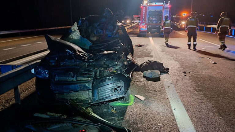 Muere un hombre tras chocar su vehículo con un caballo en la AP-66