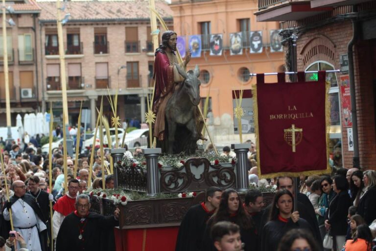 El Domingo de Ramos de Medina del Campo, en imágenes