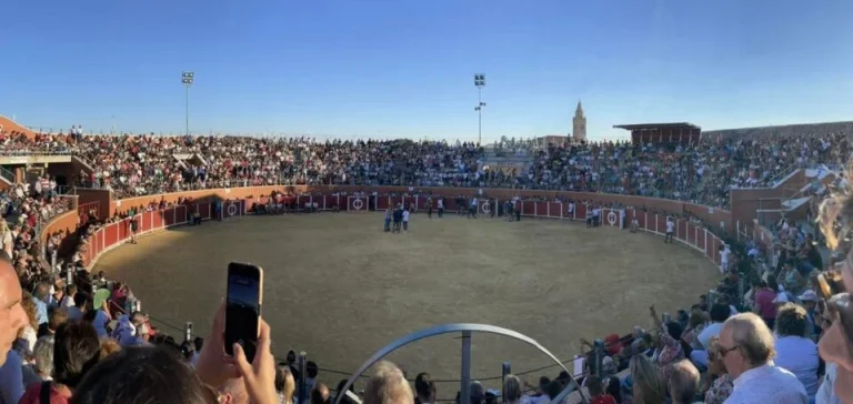 Nava del Rey celebra este sábado una novillada con picadores con precios populares y entrada gratis para menores