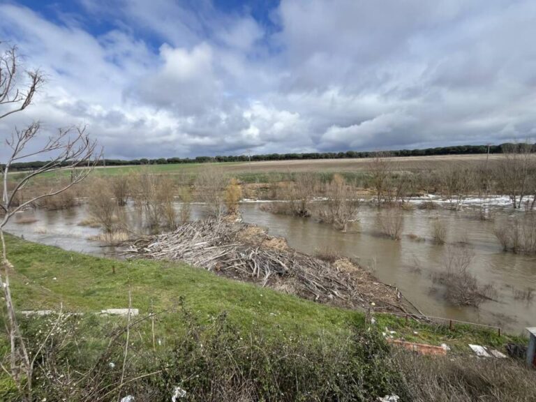 El río Adaja sigue en alerta en Valdestillas