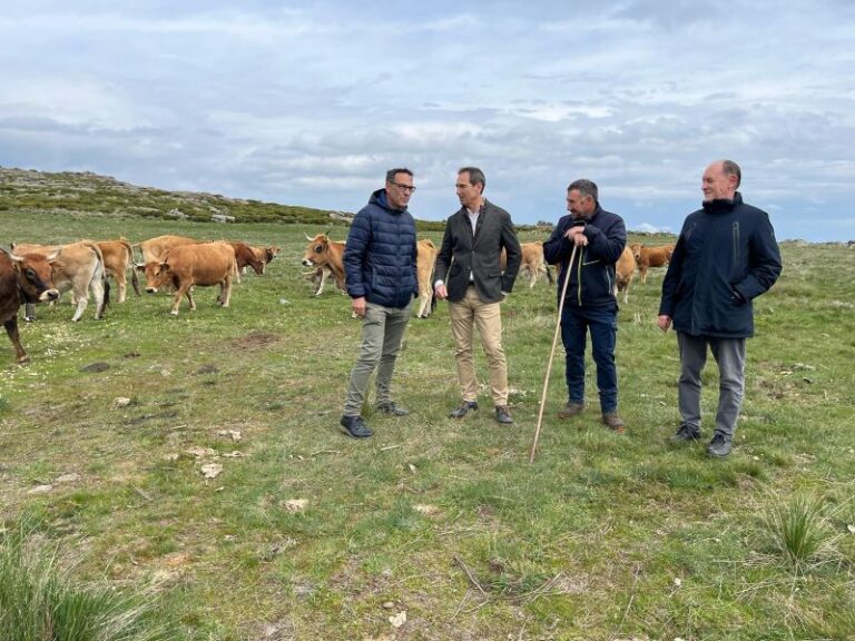 La Junta abre el plazo para pedir ayudas a la agricultura ecológica y la apicultura: 8,25 millones para el campo de Castilla y León