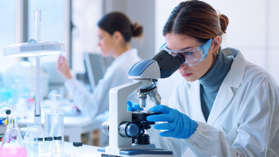 Researchers working in the clinical laboratory en Castilla y León