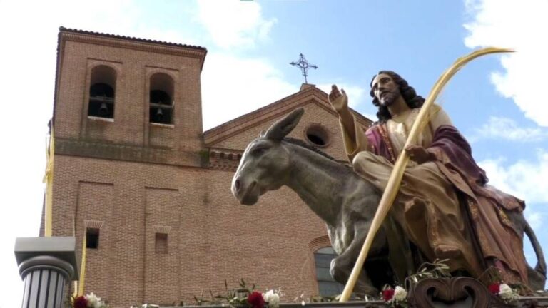 Procesión de la Borriquilla – Semana Santa 2025 Medina del Campo