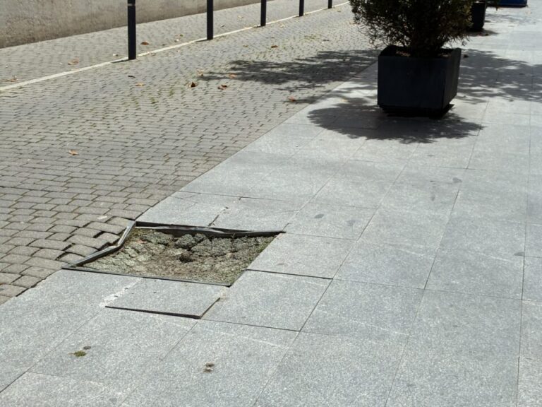 Ni árbol, ni acera