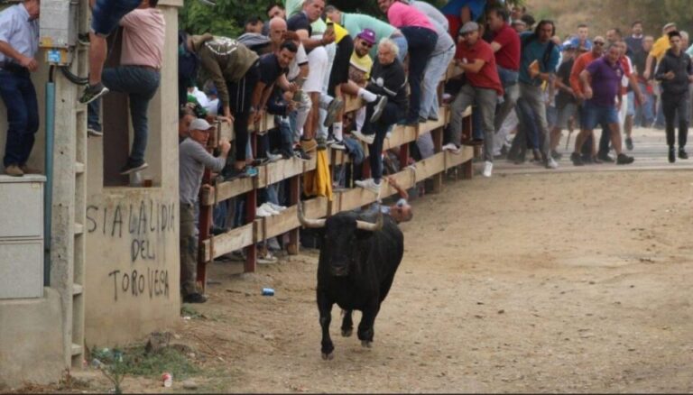 Tordesillas lleva el Toro de la Vega al Supremo en defensa de su tradición