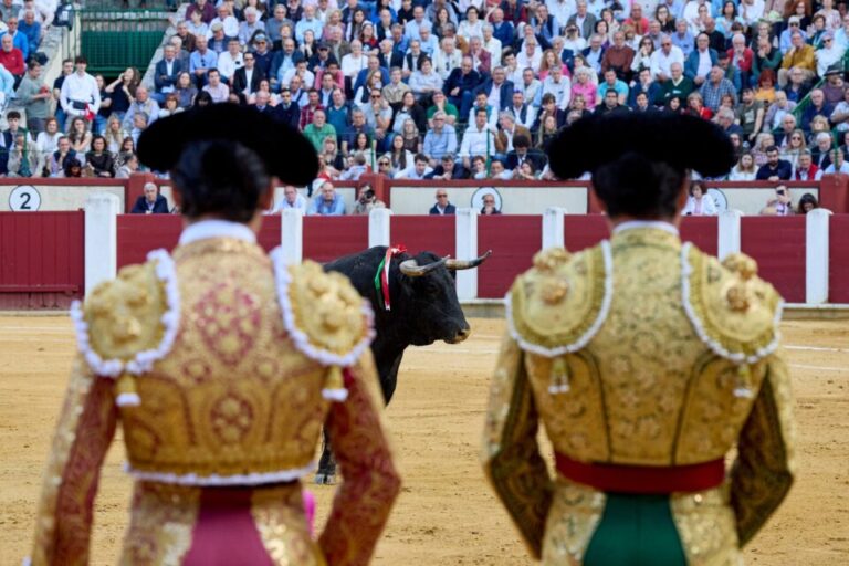 Toros San Pedro Regalado Valladolid