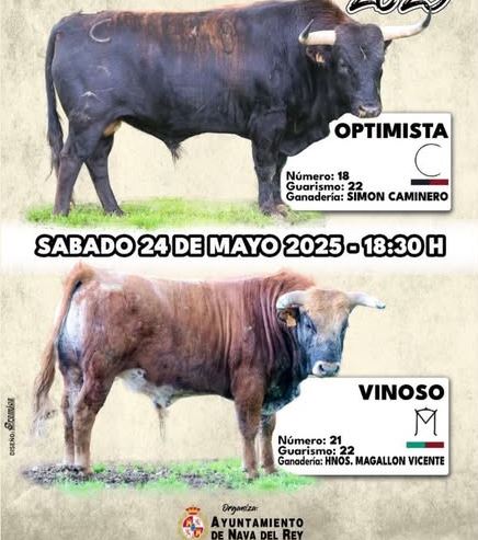 «Optimista y Vinoso», Toros de la Función 2025 de Nava del Rey