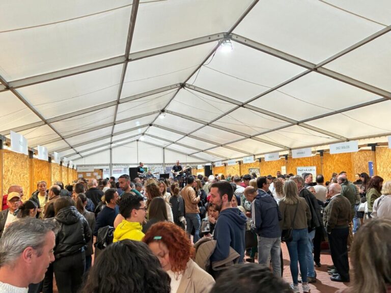 WhatsApp Image 2025-05-06 at 09.33.26 en Medina del Campo