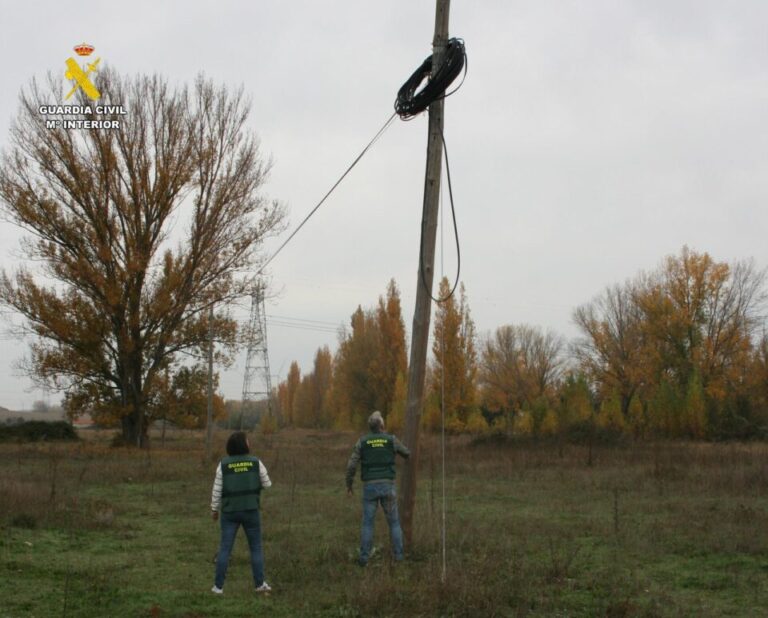 Cae un grupo criminal por el robo de más de 26.000 metros de cable telefónico en Palencia: seis nuevos investigados