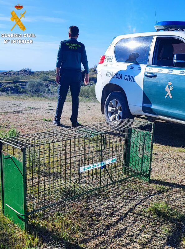Pillado con una escopeta cargada y una trampa ilegal en plena veda: la Guardia Civil frustra caza furtiva en Domingo García