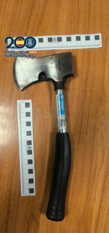 Detenido en Valladolid un hombre por golpear con un hacha a un perro en la cabeza: el animal presentaba una herida sangrante