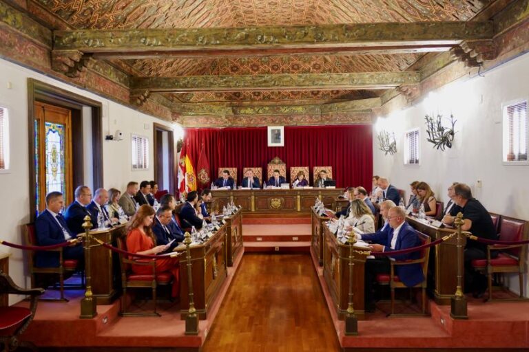 pleno diputacion valladolid