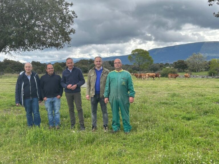 La Junta reparte 1,16 millones en ayudas directas a 675 ganaderos de bovino afectados por la EHE