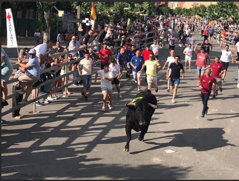 Un corneado durante la suelta del último astado en el II Congreso Nacional del Toro de Cajón en Medina del Campo