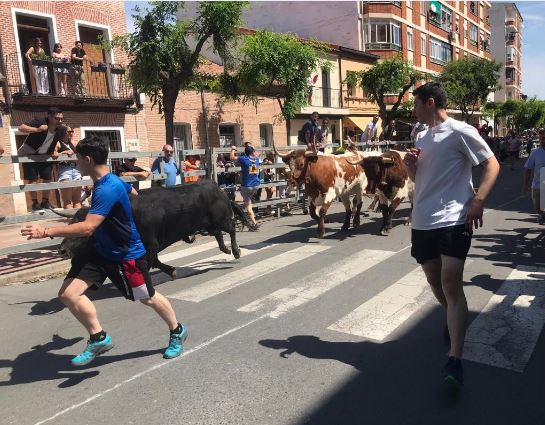 El toro ‘Barbecho’ embiste a un corredor en Medina del Campo