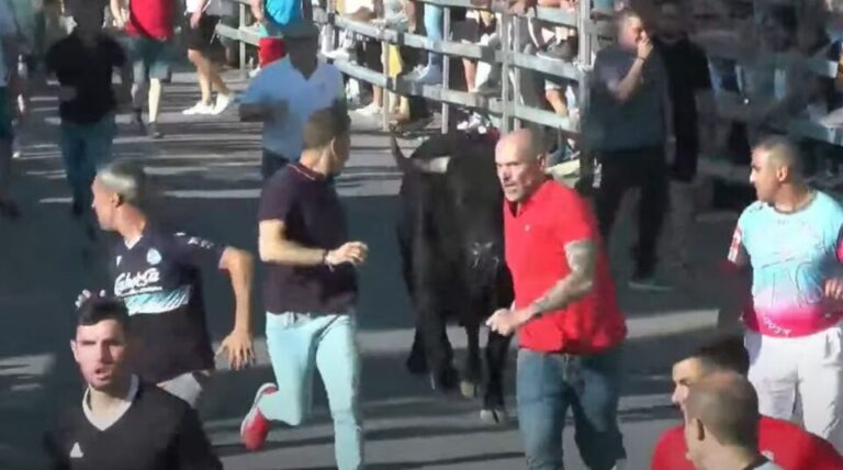 Medina del Campo: una persona corneada durante la celebración del Toro de la Feria