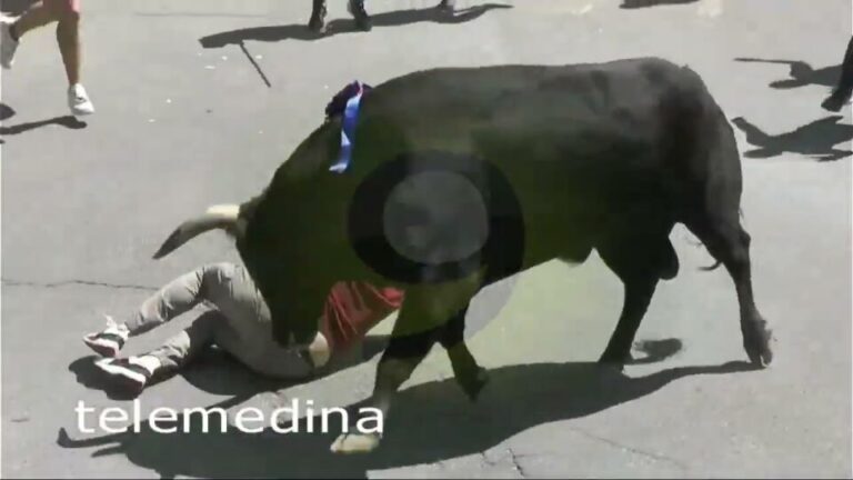 Vídeo de la cogida en el II Congreso de Toro de Cajón en Medina del Campo