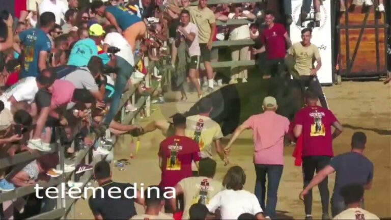 Tensión y nervios tras la cogida del último toro del Congreso en Medina del Campo