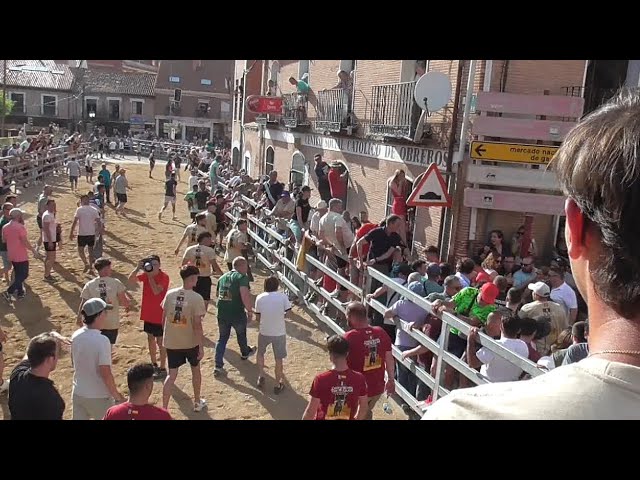 Dos heridos el balance final de la Suelta del II Congreso de los Toros de Cajón