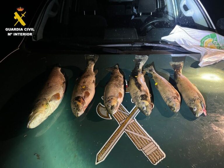 Cazan a dos pescadores furtivos en la Laguna de Galín Gómez: pescaban truchas sin permiso en aguas privadas