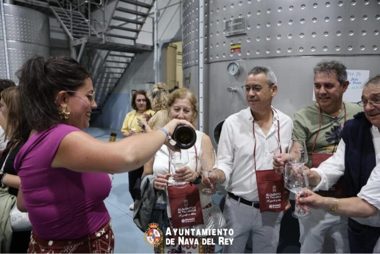 Nava del Rey marida vino con música en el arranque del «Wine Conexión 2025»