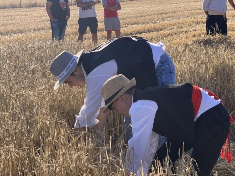 Castrejón de Trabancos no se olvida de la tradición y celebra con éxito, un año más, la fiesta de La Siega