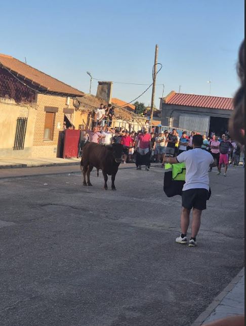 Multitudinaria suelta del “Toro de Santiago” en El Carpio
