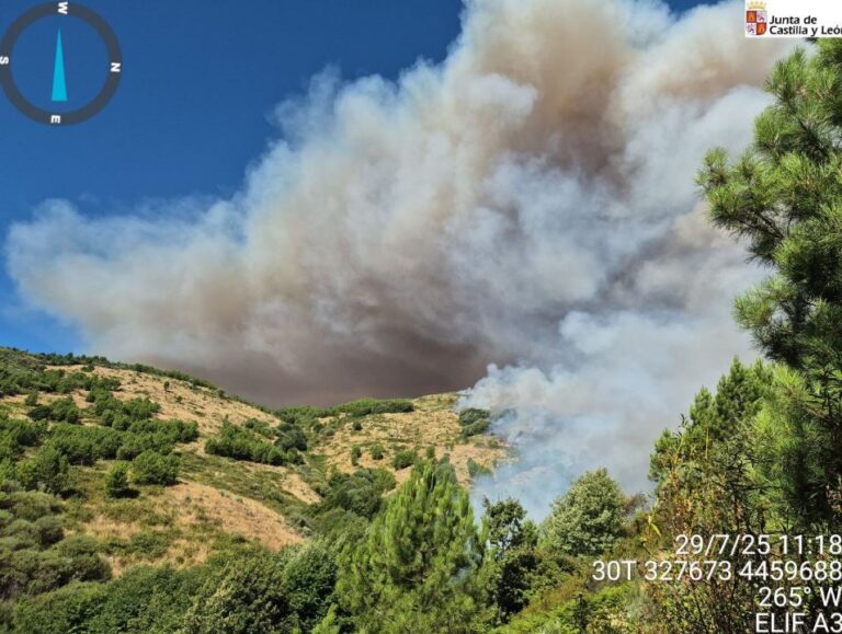 El incendio en Ávila no cede del todo y se cobra la vida de un bombero en accidente de tráfico