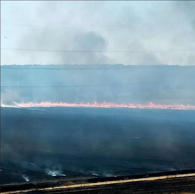 Tordesillas sufre un incendio que destruye terreno forestal y agrícola