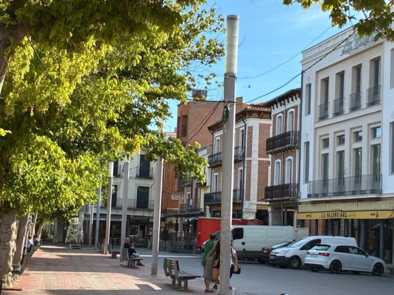 Medina del Campo, escenario de una gran tirada al plato