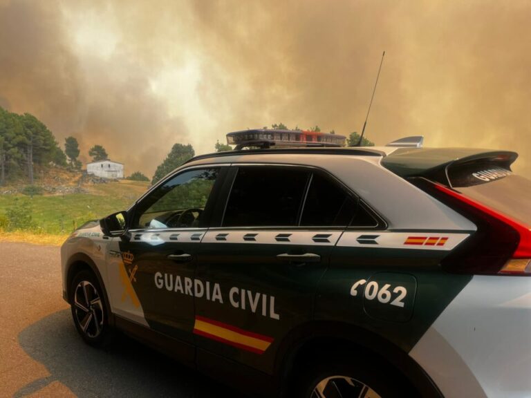 Alarma en Ávila: la Junta confirma que casi la mitad de los incendios en 2025 han sido provocados y pide colaboración ciudadana para identificar a los autores
