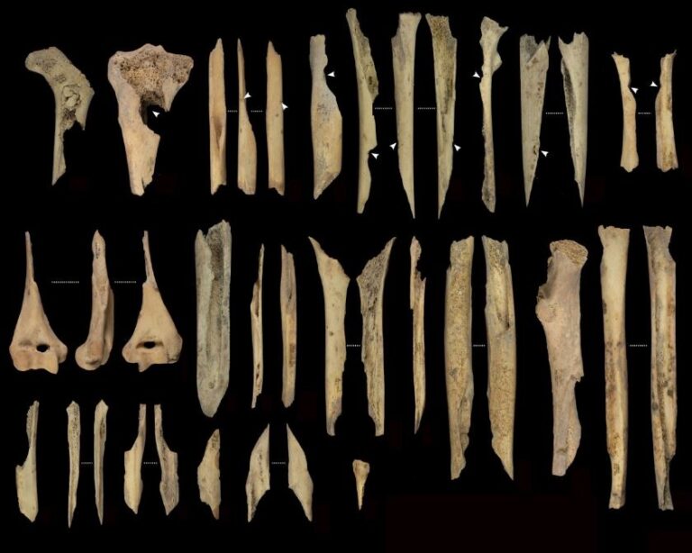 Hallan en Atapuerca evidencias de canibalismo entre comunidades hace 5.700 años
