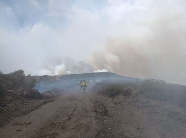 La Junta redobla la ayuda tras los incendios: 361 familias ya cobraron, 5,6 millones de kilos de alimento para el ganado y más de 2 millones en reconstrucción