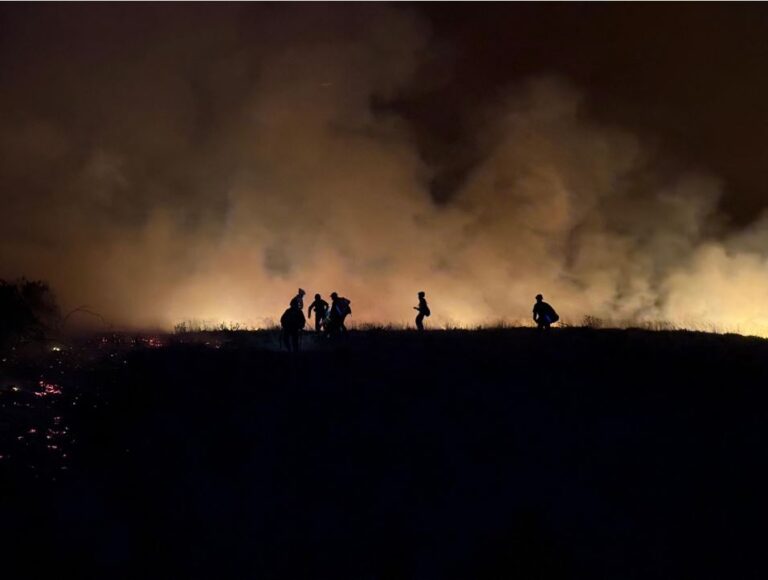 Incendio forestal en en una imagen de archivo en Medina del Campo