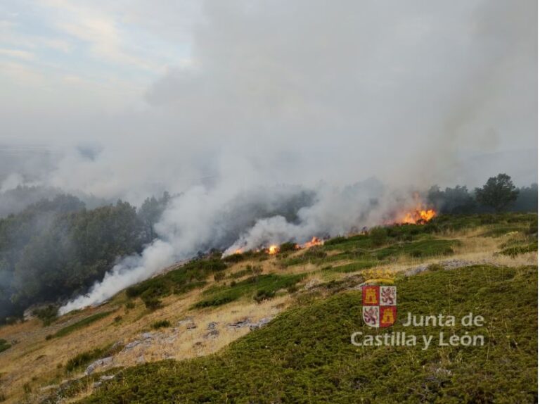 Más de 40 efectivos trabajan para sofocar un fuego en Olleros de Alba, León