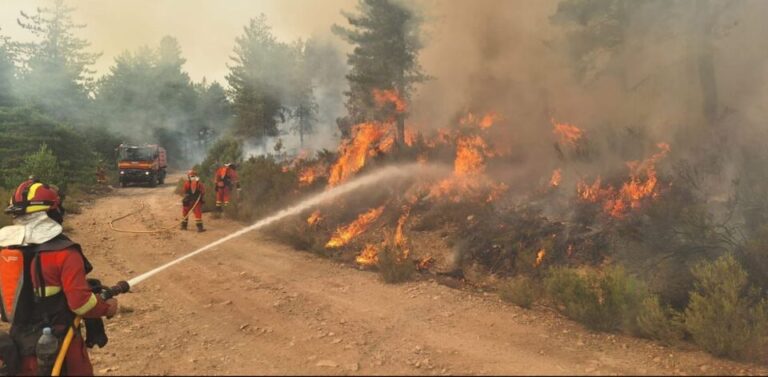 Incendio forestal en Castilla y León