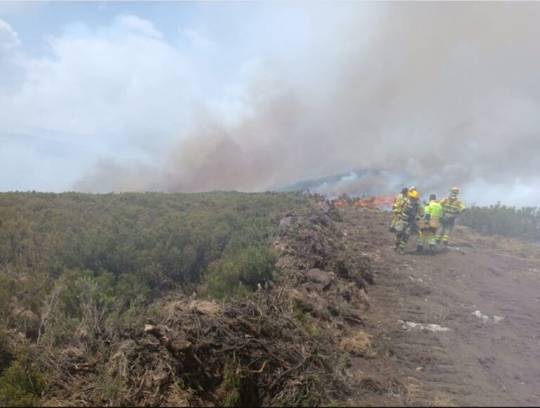 León sufre dos incendios forestales en las últimas horas con riesgo para núcleos habitados