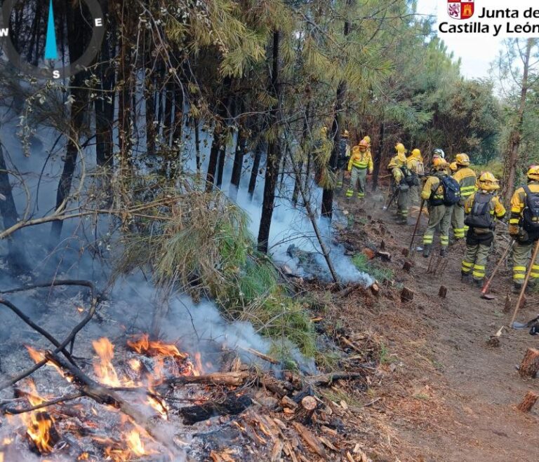 Medina del Campo refuerza la protección de sus pinares con un plan contra incendios financiado por fondos europeos